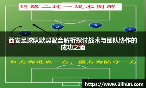 3377体育官网下载