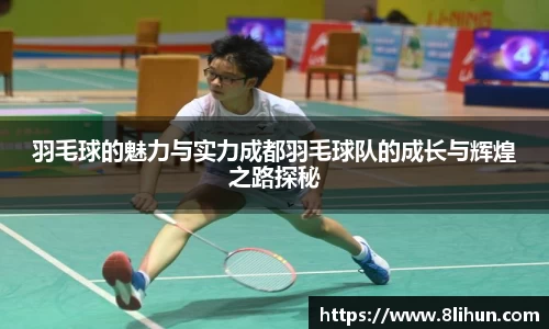 3377体育官网
