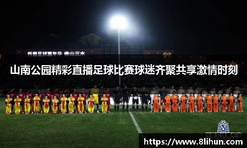山南公园精彩直播足球比赛球迷齐聚共享激情时刻