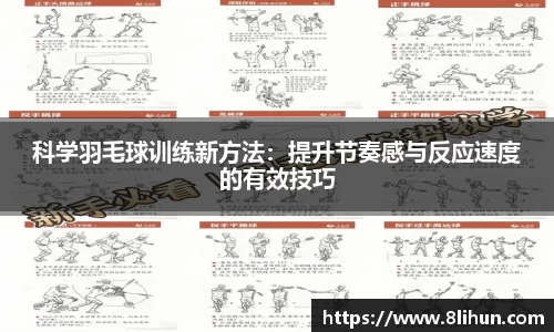 3377体育官网下载
