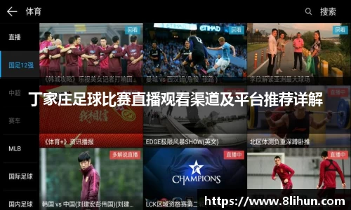 3377体育官网下载
