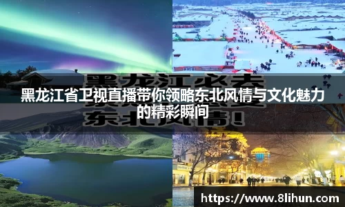 3377体育官网